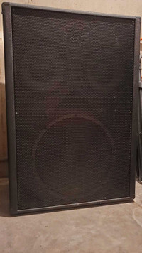 Traynor YBX1510 bass cabinet