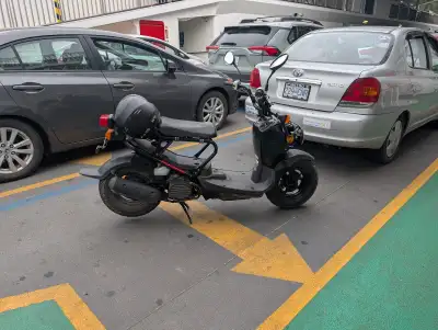 2012 Honda Ruckus – No Motorcycle License Needed! Price reduced for end of June Sale. $1850 | Black...