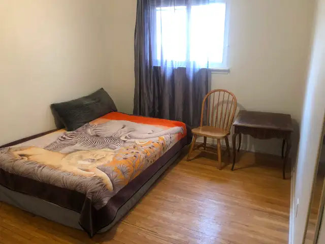 BRIGHT ROOM BASEMENT-50m TO PLAZA STEELES AND BATHURST NEAR BUS