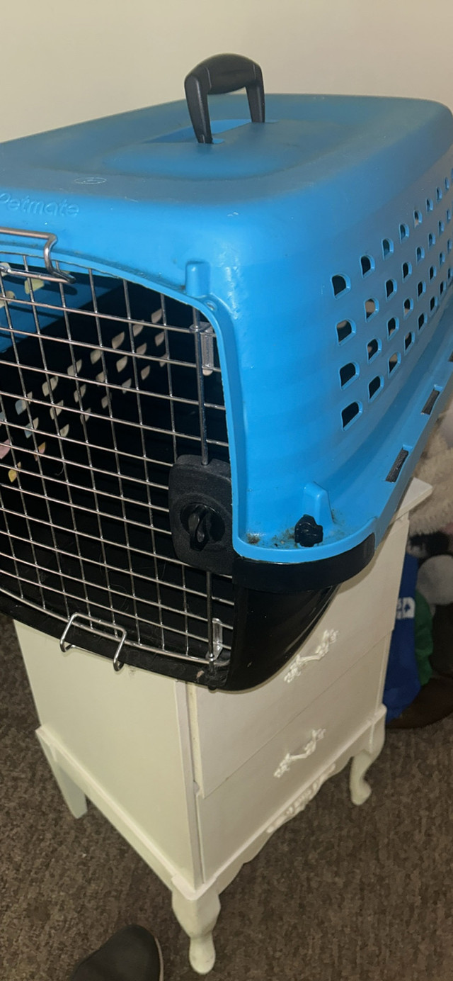 brand new pet carrier in Animal & Pet Services in Chatham-Kent - Image 2