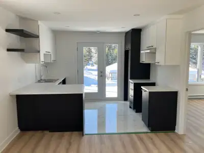 1 200 $ 3.5 logement à louer Construction neuve (1 mois GRATUIT)