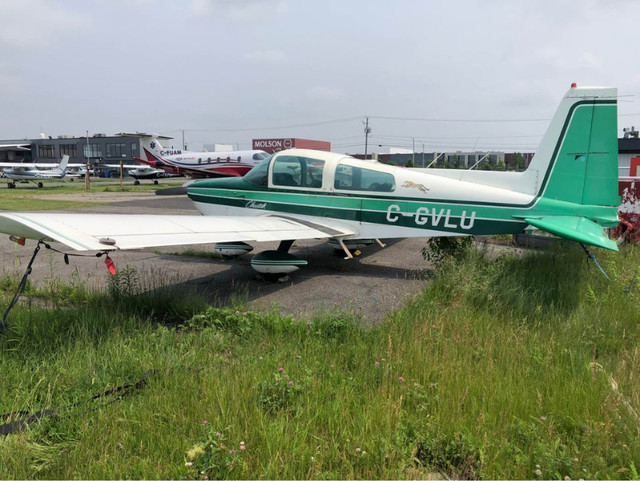 Avion Grumman Cheetah à vendre 1/4 part (for sale 1/4 share) dans Autre  à Longueuil/Rive Sud - Image 2