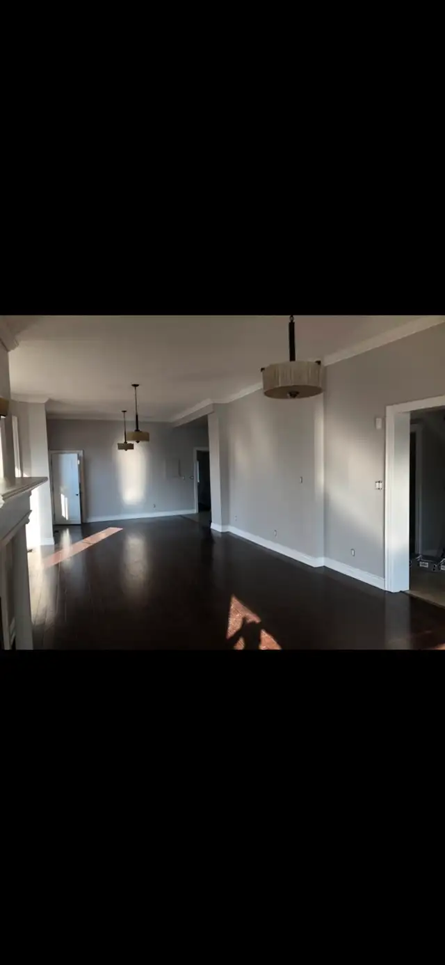 painting services 62863222192515127