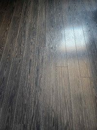 Cashmere Oak Laminate Flooring
