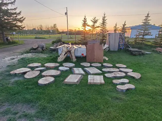 Medium & Large Raw Wood Cookie Slabs in Other in Regina - Image 3
