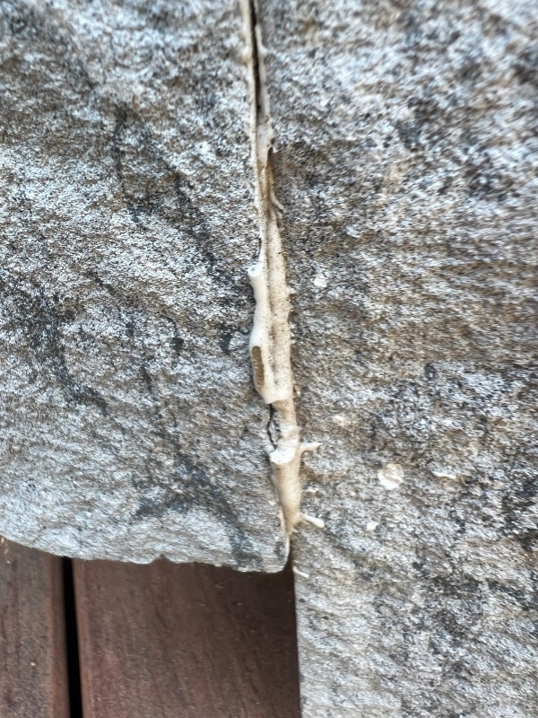 Adhesive, glue in 50 L plastic barrels.Styrene Acrylic. Free Stuff