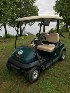 GOLF CART ELECTRIC in Other in Thunder Bay