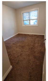 Room for rent in shared home May 1st