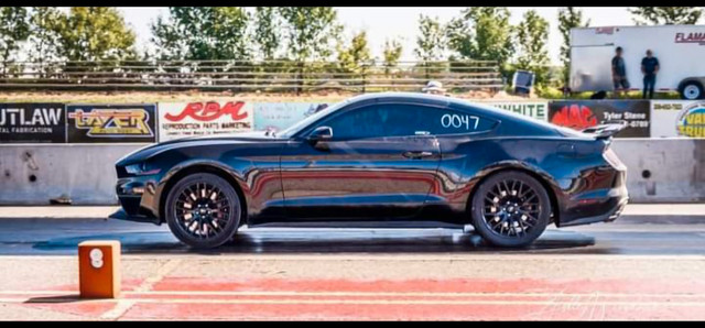 2019  Supercharged Mustang GT in Cars & Trucks in Fort McMurray - Image 2