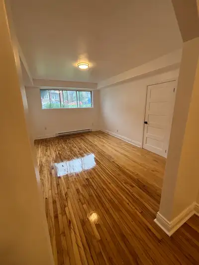 2 bedroom semi-renovated apartment
