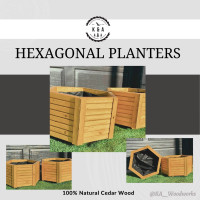 Hexagonal Planters