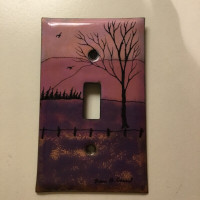 Plaque d’interrupteur d’artiste / painted light switch cover
