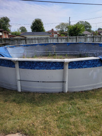 24 foot above ground pool