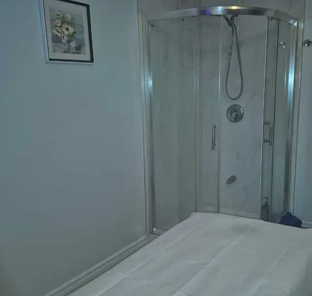 5 Star Reviews Massage Spa  in Massage Services in Mississauga / Peel Region - Image 3