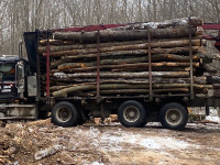 Log length firewood