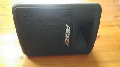 Moniteur/speaker peavey impulse 200, View more