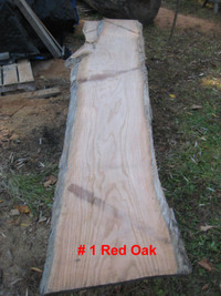 Red Oak live edge Slab Lot between 19 to 31in X 114in long