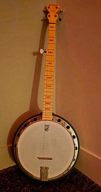 Banjo -  Deering made in USA