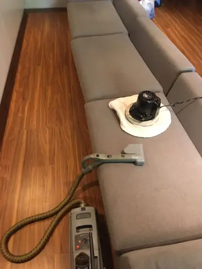 Professional Carpet Cleaning_Best Quality & Affordable Price, View more