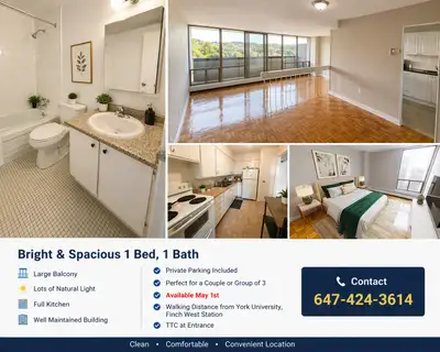 For May With Laundry- Pet Friendly With 1 Private Parking- Perfect for 3-4 People Live steps from Yo...