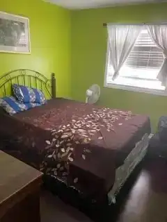 Single Room for a female available in four bedroom house. Washroom laundry backyard small fridge eve...