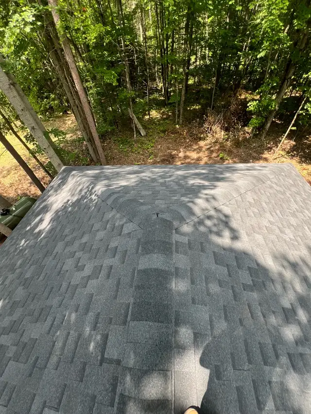 Roofing services 63005662287619121