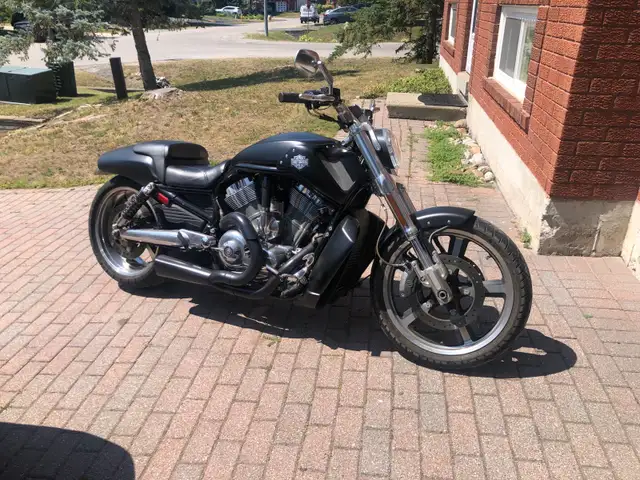 2010 VRod Muscle in Street, Cruisers & Choppers in Barrie - Image 6