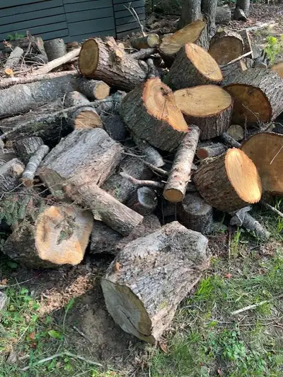 FREE FIREWOOD - 20 MINUTES NORTH OF HUNTSVILLE, View more