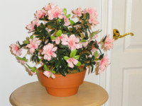 15'' ARTIFICIAL POTTED PLANT - FAUX PINK FLOWERS IN POT