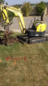 Mini Excavator and Landscaping Services