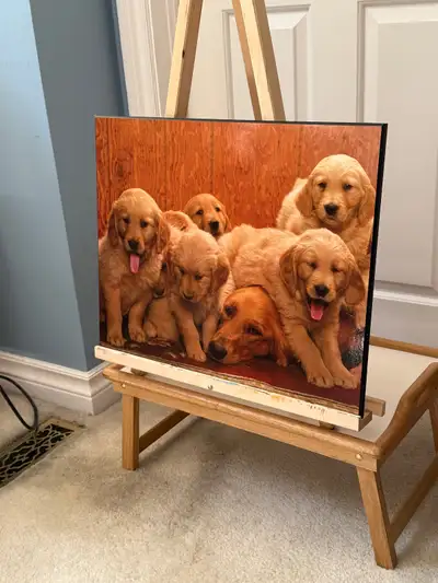 Golden Retriever Mom with her Puppies Print, on MDF Board Excellent Condition Rare find Size: 20" W...