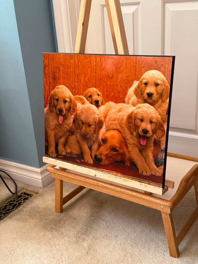 Golden Retriever Mom with her Puppies Print, on MDF Board in Home Décor & Accents in Markham / York Region