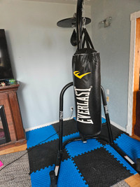 Boxing bag and spped bag