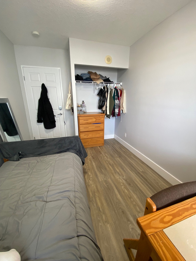 Waterloo apartment for rent  in Long Term Rentals in Kitchener / Waterloo - Image 3