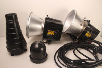 Two Alien Bees B800  Monolight Flash Head