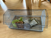 Cage pour hamster 