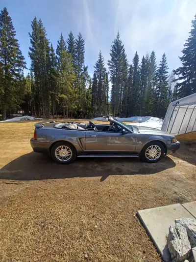 Retired and dont drive it much. New brakes. Rotors and calipers last year. Never winter driven. Runs...