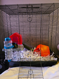 Small pet cage with assories.