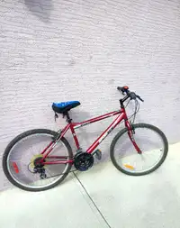 Youth Bike - 26"