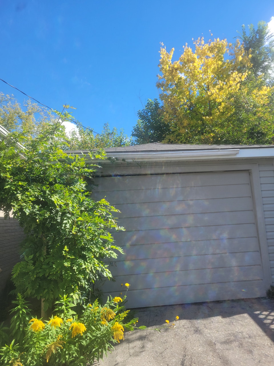House for rent 5
