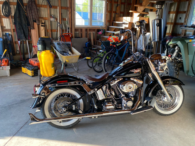 2010 Harley Davidson Softail Deluxe in Street, Cruisers & Choppers in Moncton - Image 2