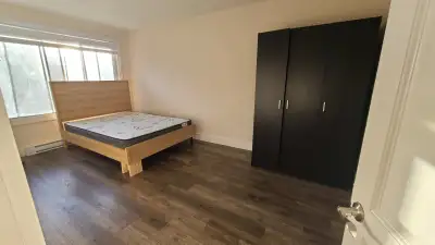 Chambre à louer / Room to rent  700$