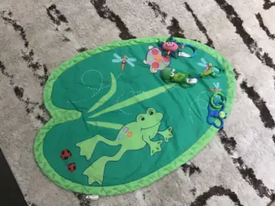 Baby play mat plus toys $15 for all