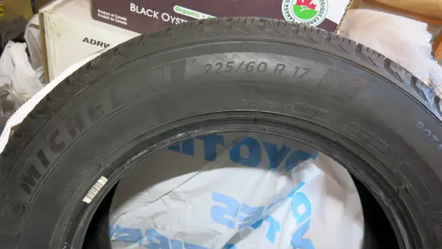 Winter Tire (1x225/60R17) in Tires & Rims in Ottawa - Image 3