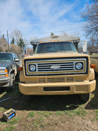 Grain truck for sale