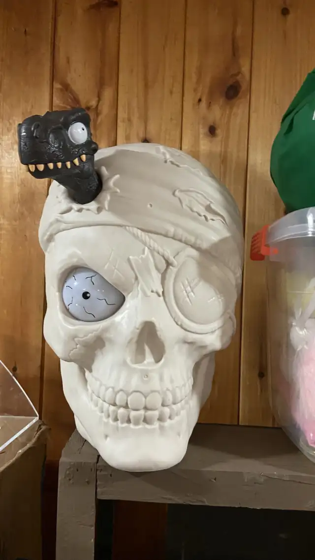 skull head with things inside as is64645239640322122