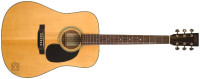Recording King RD10 Dreadnought Acoustic Guitar with Pickups