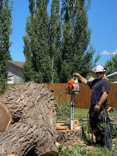 Essential Tree Services 