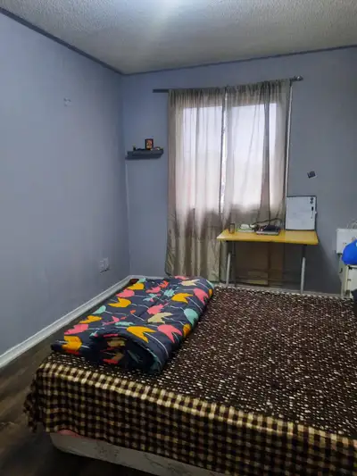 room for rent in house from 1st june for one girl sharing room near sheridan college