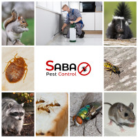 SABA PEST CONTROL  - Best pest control service - (647) 867-7378